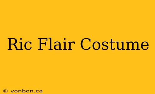 Ric Flair Costume