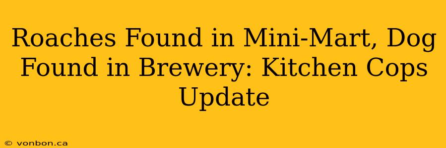 Roaches Found in Mini-Mart, Dog Found in Brewery: Kitchen Cops Update