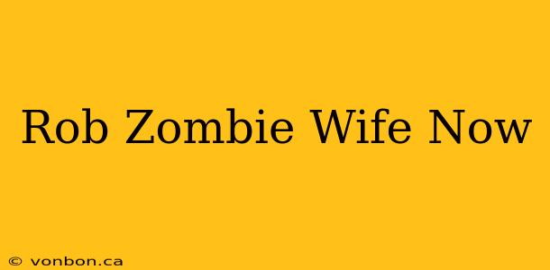 Rob Zombie Wife Now