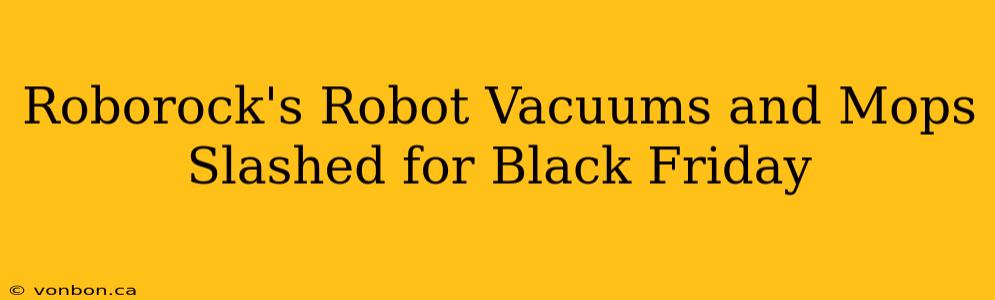 Roborock's Robot Vacuums and Mops Slashed for Black Friday