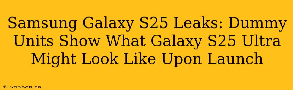 Samsung Galaxy S25 Leaks: Dummy Units Show What Galaxy S25 Ultra Might Look Like Upon Launch