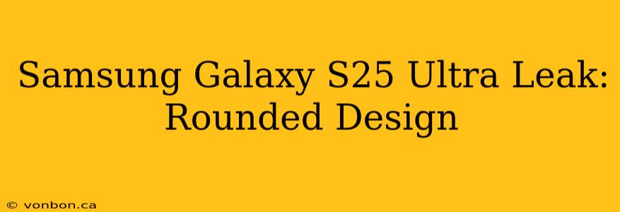 Samsung Galaxy S25 Ultra Leak: Rounded Design