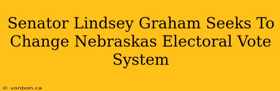 Senator Lindsey Graham Seeks To Change Nebraskas Electoral Vote System