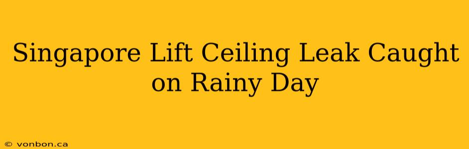 Singapore Lift Ceiling Leak Caught on Rainy Day