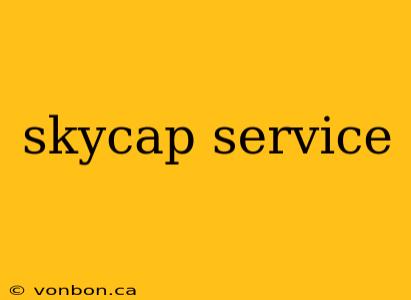 skycap service