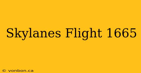 Skylanes Flight 1665