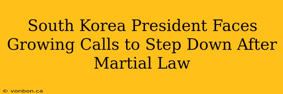 South Korea President Faces Growing Calls to Step Down After Martial Law