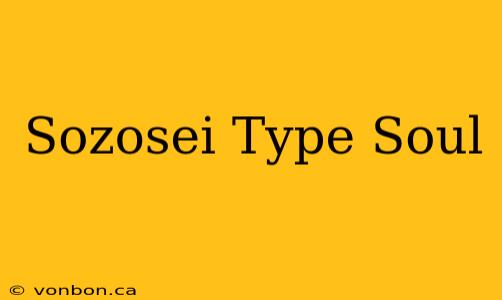 Sozosei Type Soul