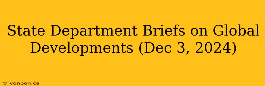 State Department Briefs on Global Developments (Dec 3, 2024)