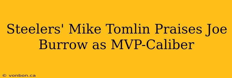 Steelers' Mike Tomlin Praises Joe Burrow as MVP-Caliber