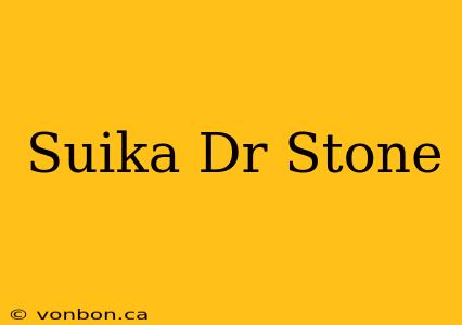 Suika Dr Stone