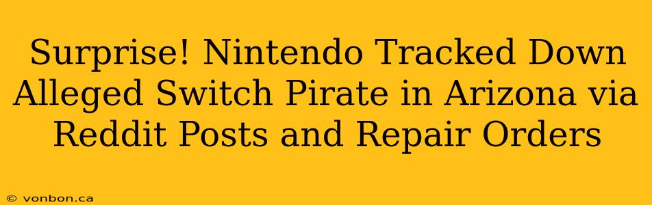 Surprise! Nintendo Tracked Down Alleged Switch Pirate in Arizona via Reddit Posts and Repair Orders