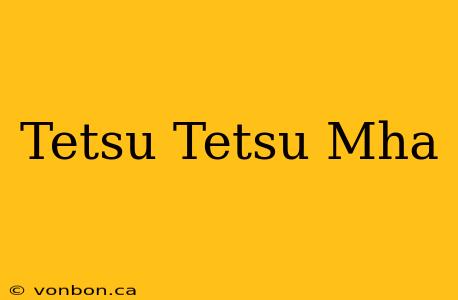 Tetsu Tetsu Mha