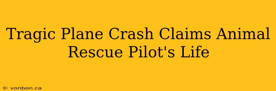 Tragic Plane Crash Claims Animal Rescue Pilot's Life