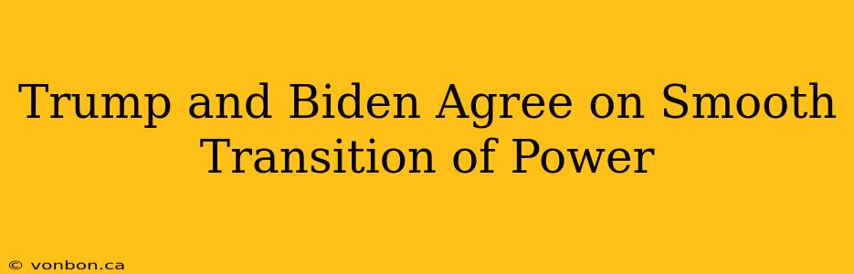 Trump and Biden Agree on Smooth Transition of Power