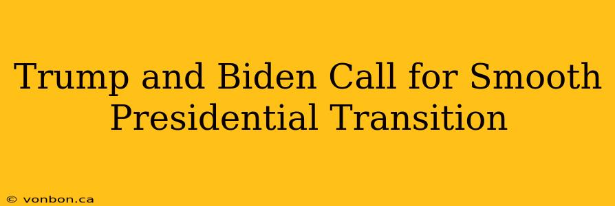 Trump and Biden Call for Smooth Presidential Transition