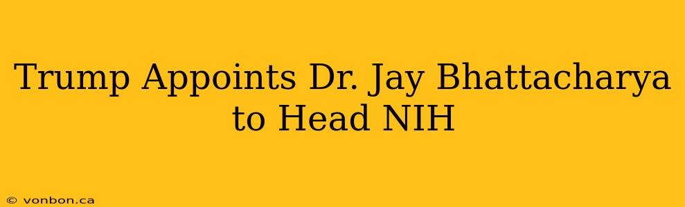 Trump Appoints Dr. Jay Bhattacharya to Head NIH