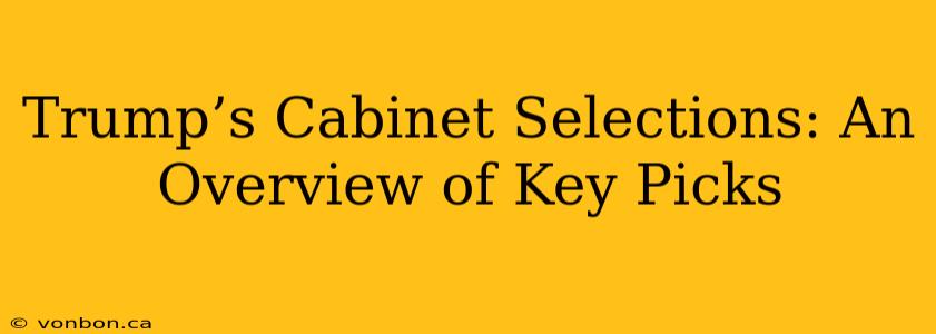 Trump’s Cabinet Selections: An Overview of Key Picks