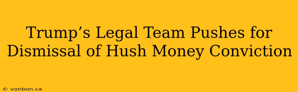 Trump’s Legal Team Pushes for Dismissal of Hush Money Conviction