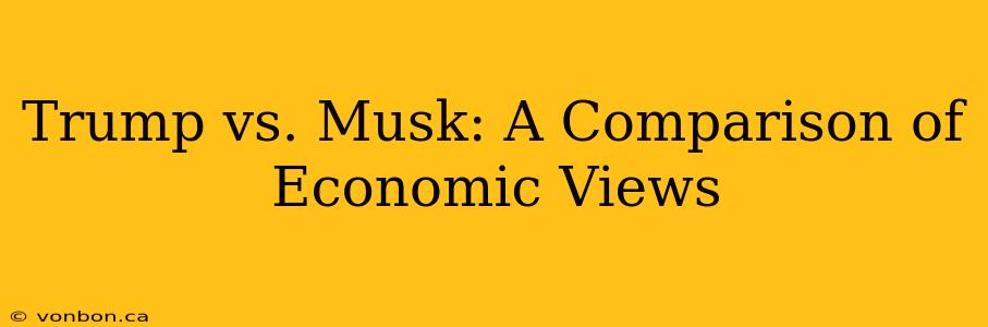 Trump vs. Musk: A Comparison of Economic Views