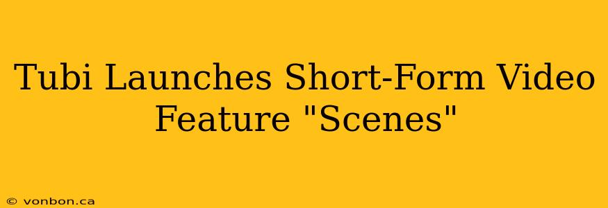 Tubi Launches Short-Form Video Feature "Scenes"