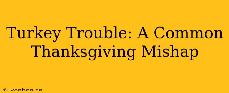 Turkey Trouble: A Common Thanksgiving Mishap