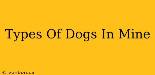 Types Of Dogs In Mine