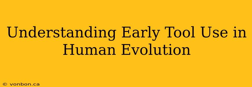 Understanding Early Tool Use in Human Evolution