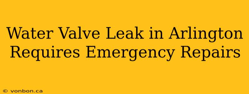 Water Valve Leak in Arlington Requires Emergency Repairs