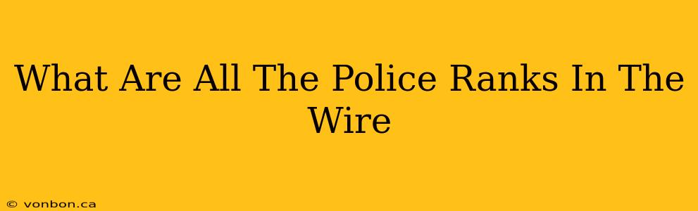 What Are All The Police Ranks In The Wire