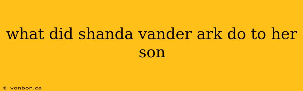 what did shanda vander ark do to her son