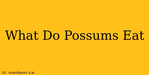 What Do Possums Eat