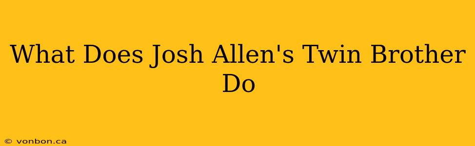 What Does Josh Allen's Twin Brother Do