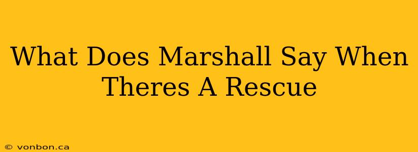 What Does Marshall Say When Theres A Rescue