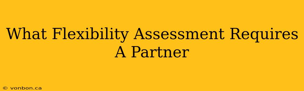 What Flexibility Assessment Requires A Partner