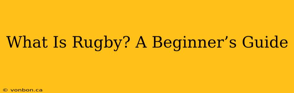 What Is Rugby? A Beginner’s Guide