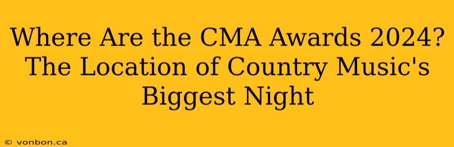 Where Are the CMA Awards 2024? The Location of Country Music's Biggest Night