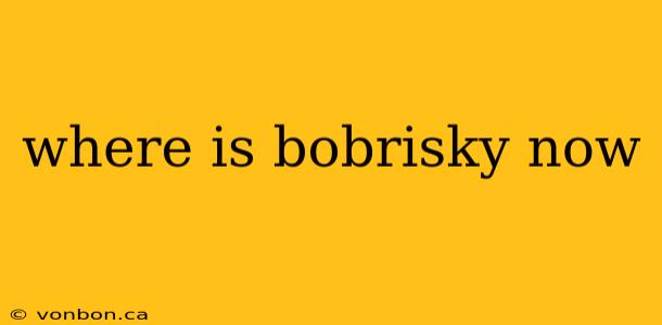 where is bobrisky now