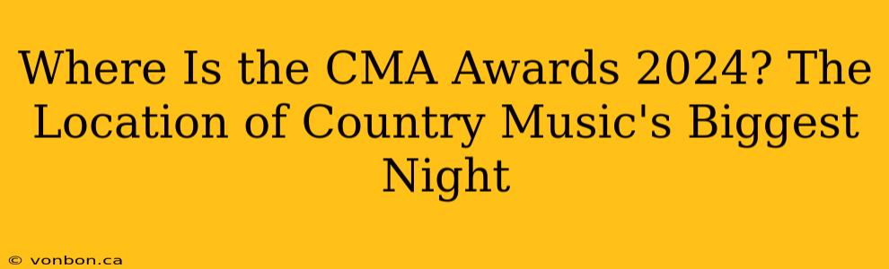 Where Is the CMA Awards 2024? The Location of Country Music's Biggest Night