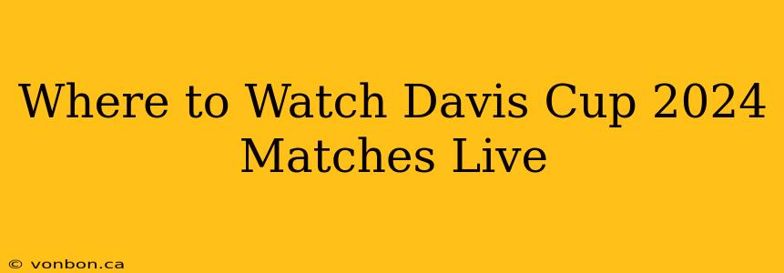 Where to Watch Davis Cup 2024 Matches Live