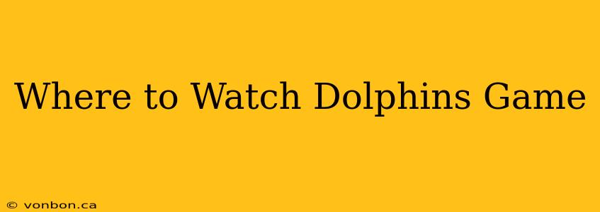 Where to Watch Dolphins Game