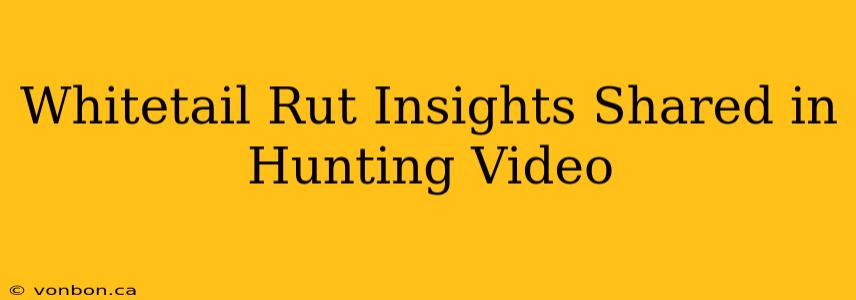 Whitetail Rut Insights Shared in Hunting Video