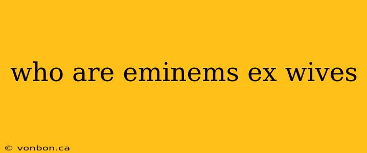 who are eminems ex wives