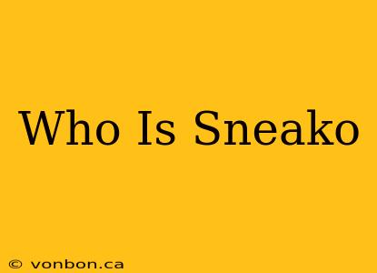 Who Is Sneako