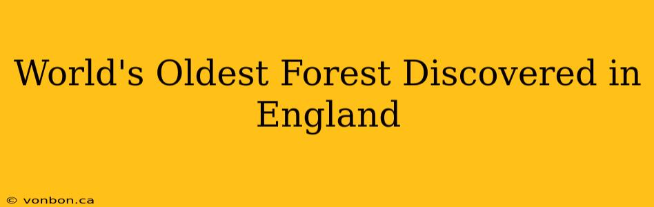 World's Oldest Forest Discovered in England