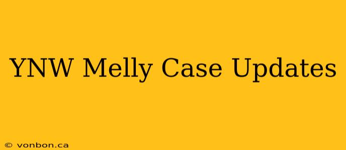 YNW Melly Case Updates