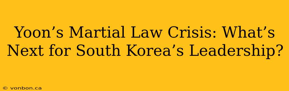 Yoon’s Martial Law Crisis: What’s Next for South Korea’s Leadership?