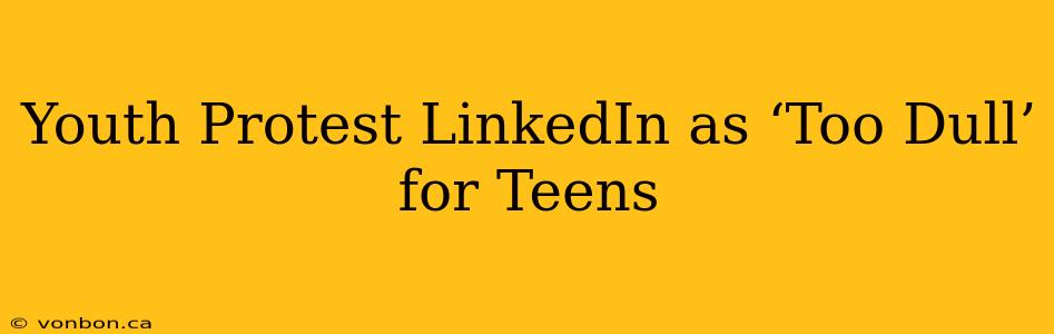 Youth Protest LinkedIn as ‘Too Dull’ for Teens