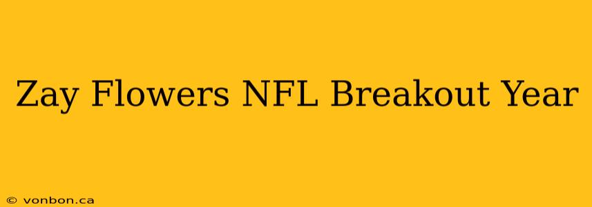 Zay Flowers NFL Breakout Year